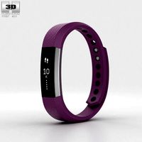 Fitbit Alta Plum-Silver