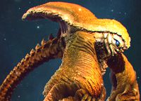 Sea Creature - Highpoly