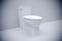 Boulevard  Flo Wise  Right Height  Elongated