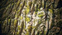 Mossy Rock Materia