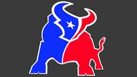 Texans NFL logo