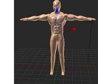 man body