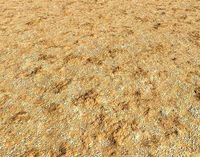 Arid desert terrain seamless 13 PB