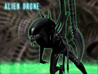 Xenomorph Alien Drone 3D Model