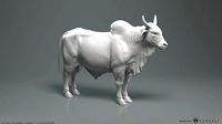 Zebu Bull - Highpoly Sculpture