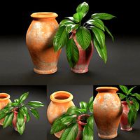 rustic pot