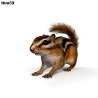 Chipmunk HD