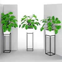 Houseplant 38 wall Collisions