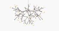 Moooi Heracleum II Lamp