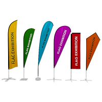 6 Flag Exhibition