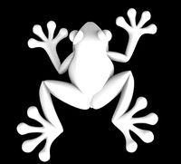 frog  toad