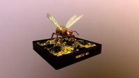 Robotic Bee
