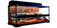Terrarium Exo-Terra for the snake