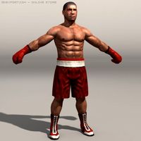 Boxer01 3D Model