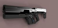 Destiny Uriels gift assault rifle Destiny 2 | 3D