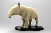 Tapir Printable | 3D