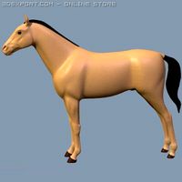 Horse 3D Model