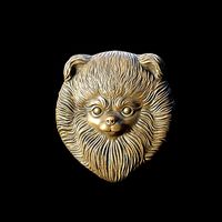 Pomeranian head | 3D