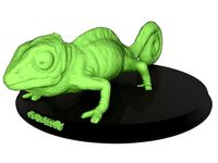 Chameleon | 3D