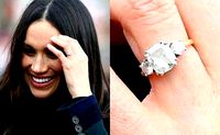 Princess of Wales-RING | 3D