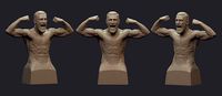 Conor Anthony McGregor | 3D