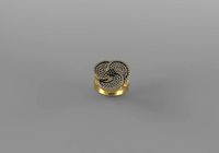 Helicon ring   | 3D