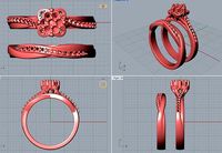 ring and back ring | 3D