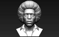 Jimi Hendrix bust 3D printing ready stl obj formats | 3D