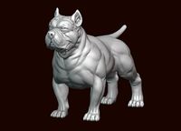 American Bully | 3D