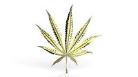 3D 9 Leaf Hemp | 3D