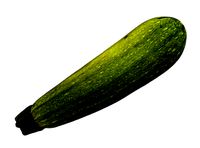 Zucchini