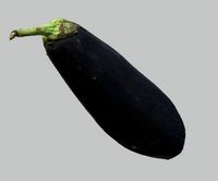 Eggplant