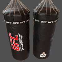UFC Boxing Bag