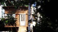 Modern Treehouse 3D model