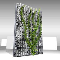 Ivy Vine on Gabion Wall - Version 2