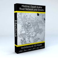 Medina Road Network and Streets