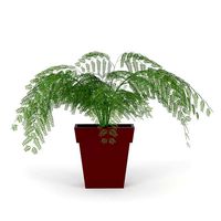 Frida Metal Planter 03