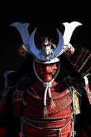 Samurai Warlord - Shogun