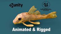 Sailfin Catfish