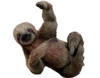 Sloth Rigged with Fur