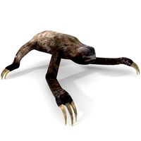 Sloth