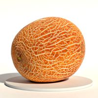 Melon