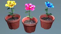 Primrose with 3 colors  Pink Blue Yellow  Designed for games
