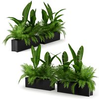 Flowerbed Palm Two