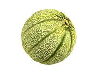 Photorealistic Charentais Melon 3D Scan
