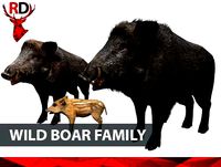 Wild boar family