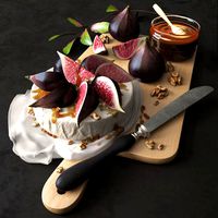 Fig set