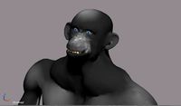 chimpanzee animated
