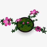 Japan azalea pot 3D Model