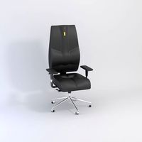 Computer Chair